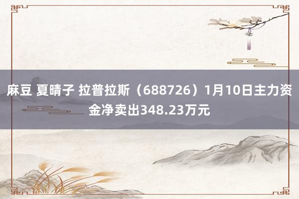 麻豆 夏晴子 拉普拉斯（688726）1月10日主力资金净卖出348.23万元