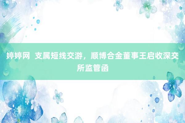 婷婷网  支属短线交游，顺博合金董事王启收深交所监管函