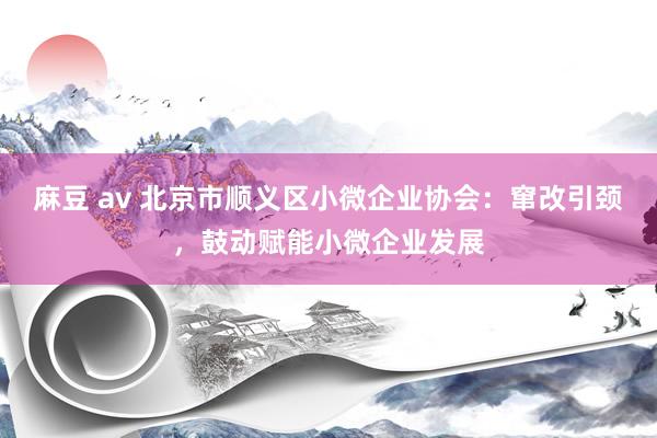 麻豆 av 北京市顺义区小微企业协会：窜改引颈，鼓动赋能小微企业发展