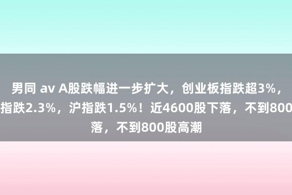 男同 av A股跌幅进一步扩大，创业板指跌超3%，深证成指跌2.3%，沪指跌1.5%！近4600股下落，不到800股高潮