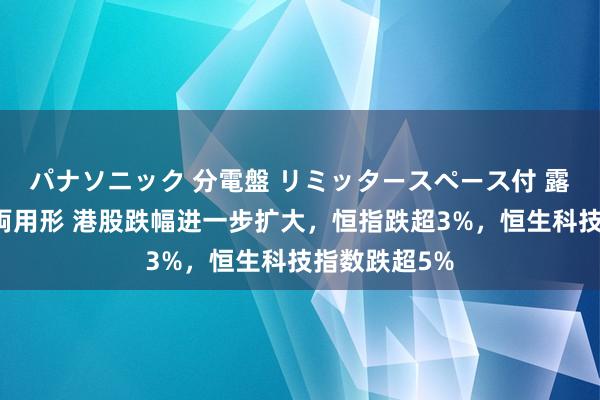 パナソニック 分電盤 リミッタースペース付 露出・半埋込両用形 港股跌幅进一步扩大，恒指跌超3%，恒生科技指数跌超5%