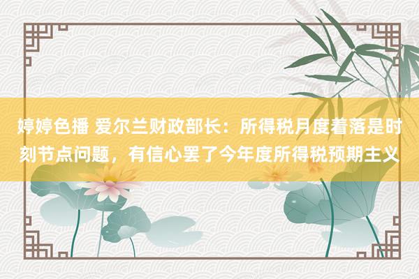 婷婷色播 爱尔兰财政部长：所得税月度着落是时刻节点问题，有信心罢了今年度所得税预期主义