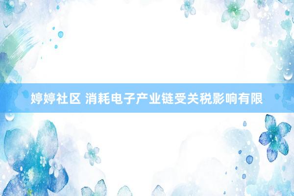 婷婷社区 消耗电子产业链受关税影响有限