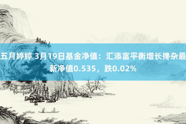 五月婷婷 3月19日基金净值：汇添富平衡增长搀杂最新净值0.535，跌0.02%