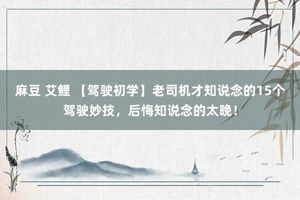 麻豆 艾鲤 【驾驶初学】老司机才知说念的15个驾驶妙技，后悔知说念的太晚！