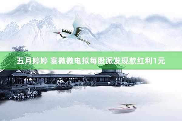 五月婷婷 赛微微电拟每股派发现款红利1元