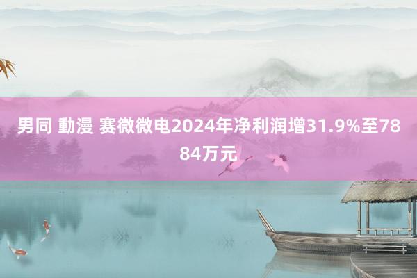 男同 動漫 赛微微电2024年净利润增31.9%至7884万元