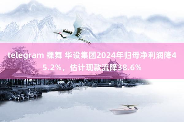 telegram 裸舞 华设集团2024年归母净利润降45.2%，估计现款流降38.6%