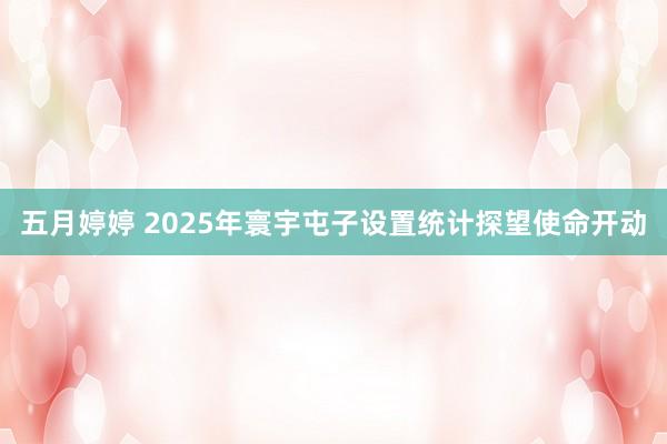五月婷婷 2025年寰宇屯子设置统计探望使命开动