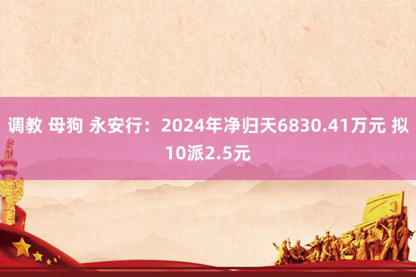 调教 母狗 永安行：2024年净归天6830.41万元 拟10派2.5元