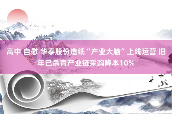 高中 自慰 华泰股份造纸“产业大脑”上线运营 旧年已杀青产业链采购降本10%