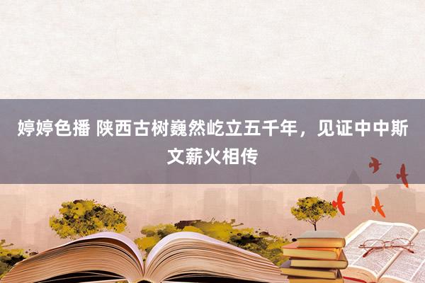 婷婷色播 陕西古树巍然屹立五千年，见证中中斯文薪火相传