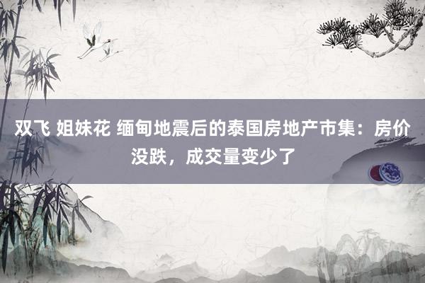 双飞 姐妹花 缅甸地震后的泰国房地产市集：房价没跌，成交量变少了