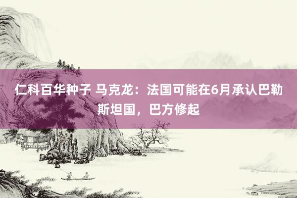 仁科百华种子 马克龙：法国可能在6月承认巴勒斯坦国，巴方修起