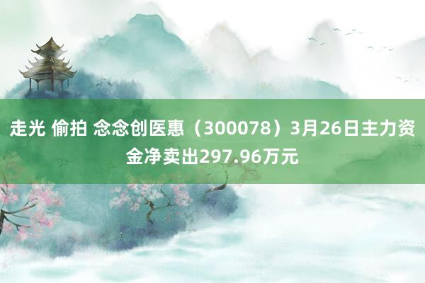 走光 偷拍 念念创医惠（300078）3月26日主力资金净卖出297.96万元