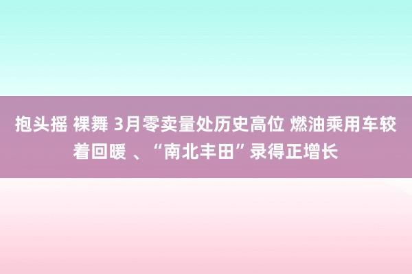 抱头摇 裸舞 3月零卖量处历史高位 燃油乘用车较着回暖 、“南北丰田”录得正增长