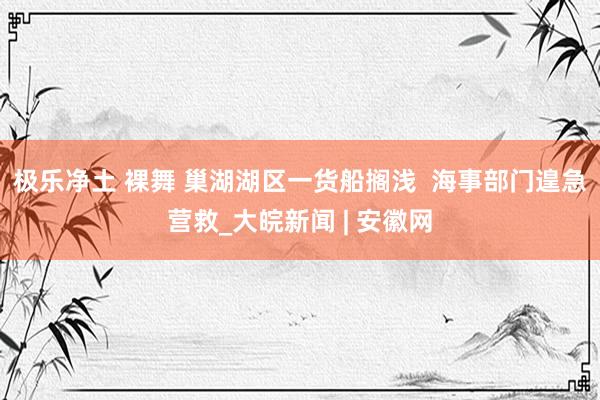 极乐净土 裸舞 巢湖湖区一货船搁浅  海事部门遑急营救_大皖新闻 | 安徽网
