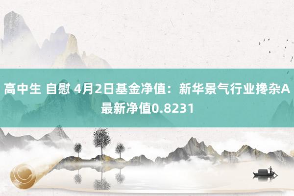 高中生 自慰 4月2日基金净值：新华景气行业搀杂A最新净值0.8231