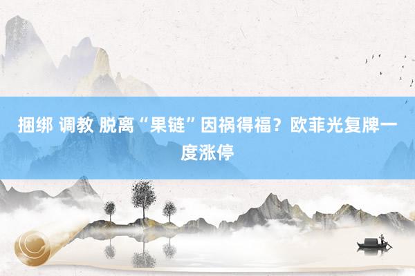 捆绑 调教 脱离“果链”因祸得福？欧菲光复牌一度涨停