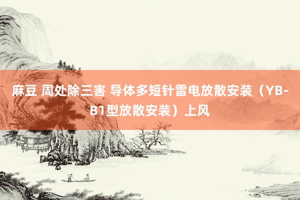 麻豆 周处除三害 导体多短针雷电放散安装（YB-B1型放散安装）上风