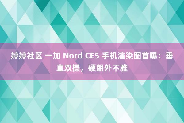 婷婷社区 一加 Nord CE5 手机渲染图首曝：垂直双摄，硬朗外不雅