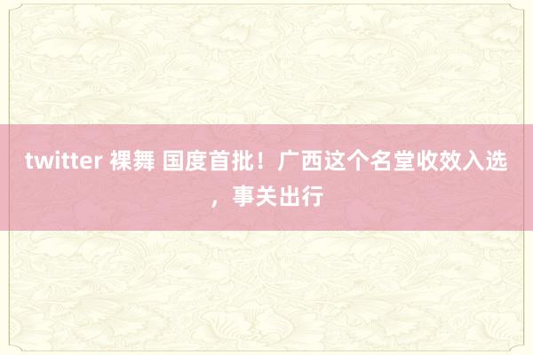 twitter 裸舞 国度首批！广西这个名堂收效入选，事关出行