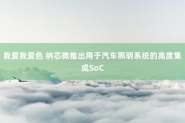 我爱我爱色 纳芯微推出用于汽车照明系统的高度集成SoC