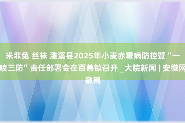 米菲兔 丝袜 濉溪县2025年小麦赤霉病防控暨“一喷三防”责任部署会在百善镇召开 _大皖新闻 | 安徽网
