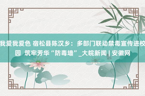 我爱我爱色 宿松县陈汉乡：多部门联动禁毒宣传进校园  筑牢芳华“防毒墙”_大皖新闻 | 安徽网