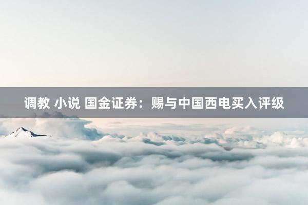 调教 小说 国金证券：赐与中国西电买入评级
