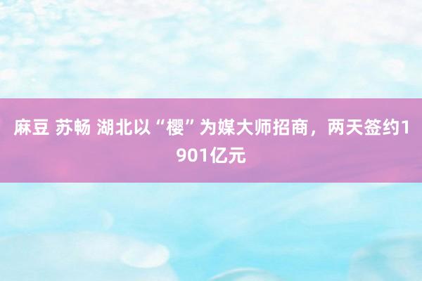麻豆 苏畅 湖北以“樱”为媒大师招商，两天签约1901亿元