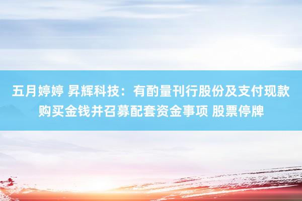 五月婷婷 昇辉科技：有酌量刊行股份及支付现款购买金钱并召募配套资金事项 股票停牌