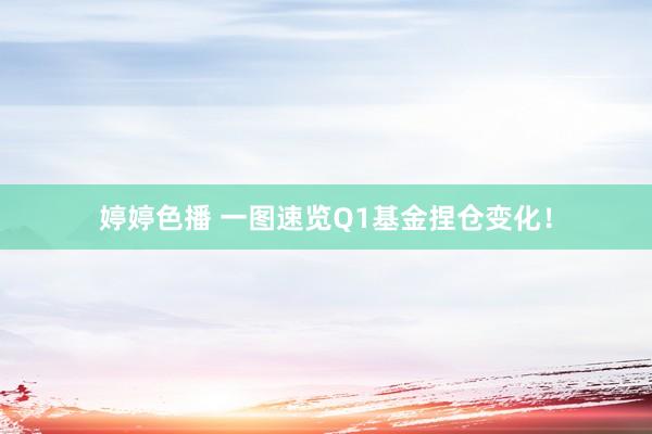婷婷色播 一图速览Q1基金捏仓变化！