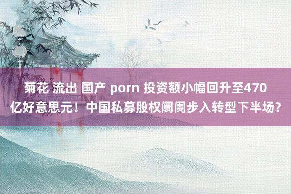 菊花 流出 国产 porn 投资额小幅回升至470亿好意思元！中国私募股权阛阓步入转型下半场？