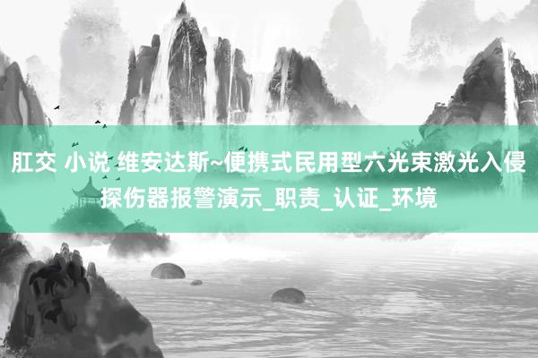 肛交 小说 维安达斯~便携式民用型六光束激光入侵探伤器报警演示_职责_认证_环境